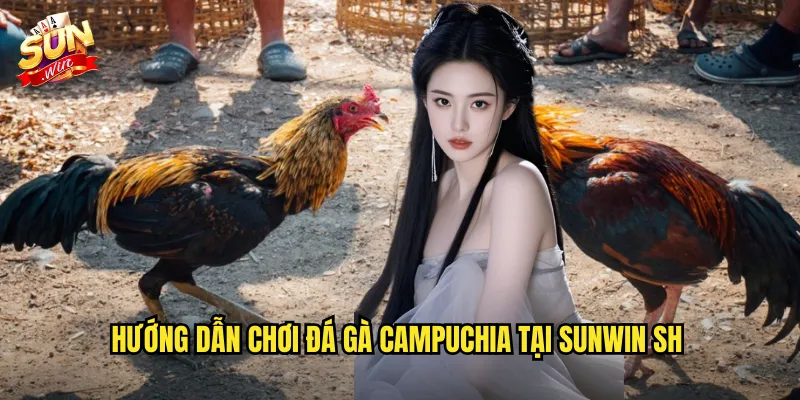 Đá Gà Campuchia Sunwin SH - Trải Nghiệm Trường Gà Nổi Tiếng Đông Nam Á 3 Hướng dẫn chơi đá gà campuchia tại sunwin sh