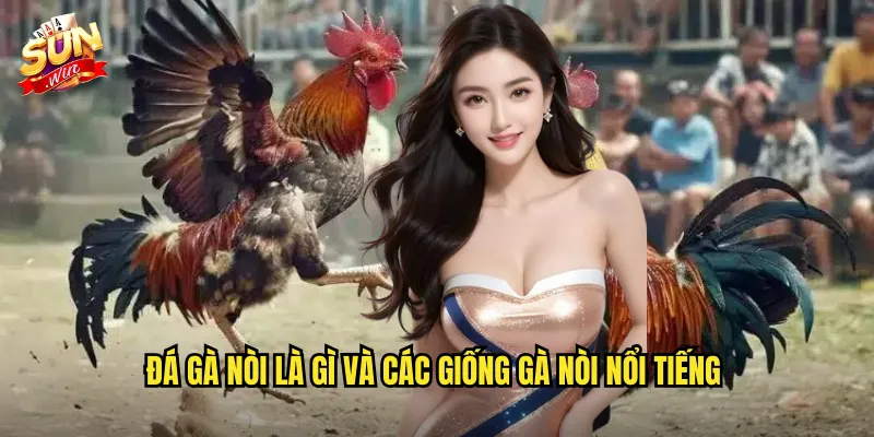 Đá Gà Nòi Sunwin SH - Sân Chơi Dành Cho Tín Đồ Gà Thuần Chủng 2 Đá gà nòi là gì và các giống gà nòi nổi tiếng