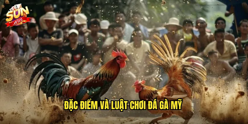 Đặc điểm và luật chơi đá gà mỹ