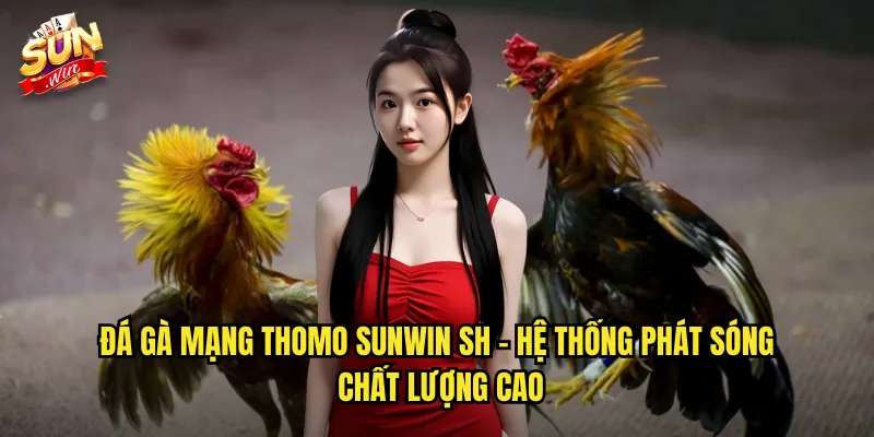 Đá Gà Mạng Thomo Sunwin SH - Kết Nối Trực Tiếp Với Trường Gà Uy Tín 2 Đá gà mạng thomo sunwin sh - Hệ thống phát sóng chất lượng cao