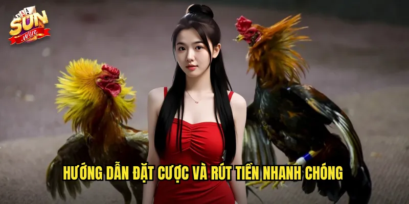 Đá Gà Mạng Thomo Sunwin SH - Kết Nối Trực Tiếp Với Trường Gà Uy Tín 3 Hướng dẫn đặt cược và rút tiền nhanh chóng