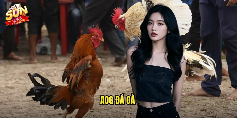 AOG Đá Gà Sunwin SH - Arena Of Glory Với Những Trận Chiến Hoành Tráng 1 AOG đá gà