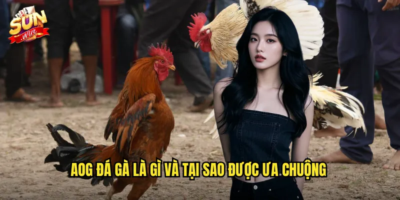 AOG Đá Gà Sunwin SH - Arena Of Glory Với Những Trận Chiến Hoành Tráng 2 AOG đá gà là gì và tại sao được ưa chuộng