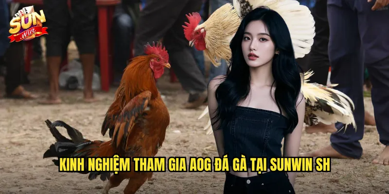 AOG Đá Gà Sunwin SH - Arena Of Glory Với Những Trận Chiến Hoành Tráng 3 Kinh nghiệm tham gia AOG đá gà tại Sunwin SH
