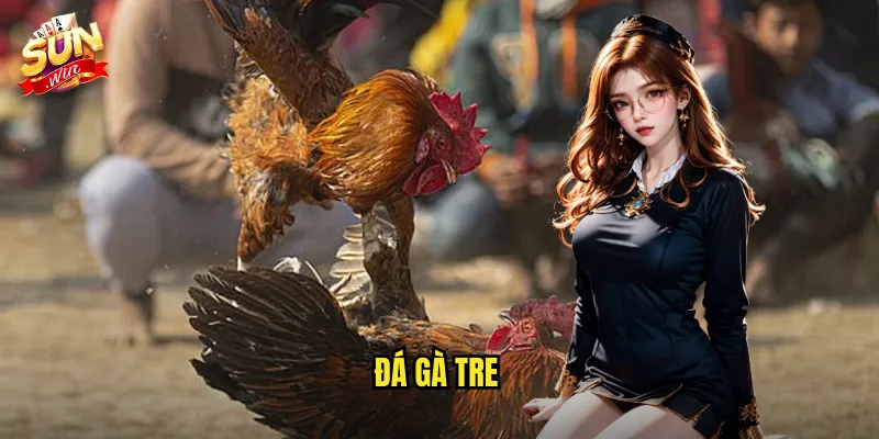 Đá Gà Tre Sunwin SH - Truyền Thống Dân Gian Việt Nam Trên Nền Tảng Hiện Đại 1 đá gà tre