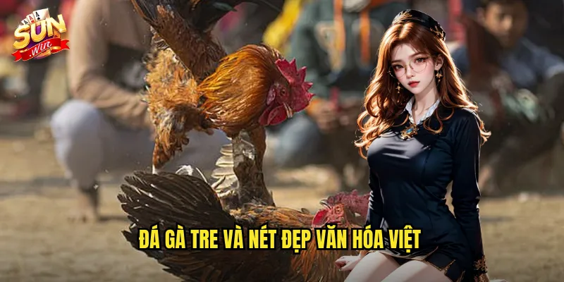 Đá Gà Tre Sunwin SH - Truyền Thống Dân Gian Việt Nam Trên Nền Tảng Hiện Đại 2 Đá gà tre và nét đẹp văn hóa Việt