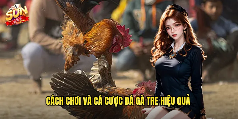 Đá Gà Tre Sunwin SH - Truyền Thống Dân Gian Việt Nam Trên Nền Tảng Hiện Đại 3 Cách chơi và cá cược đá gà tre hiệu quả