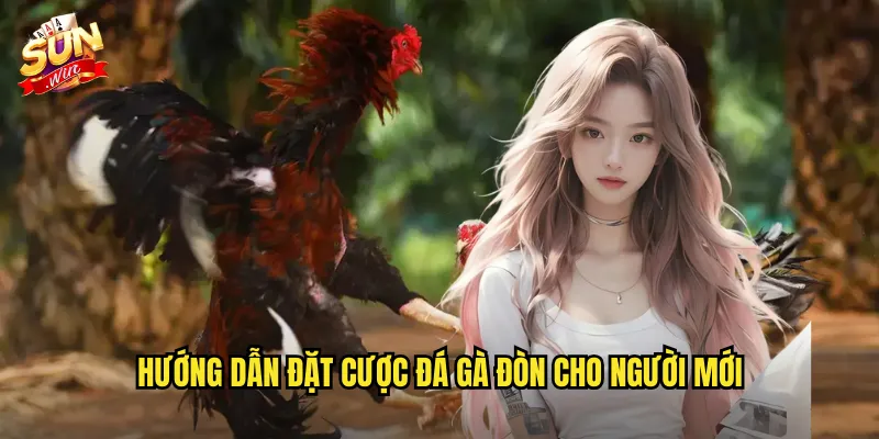Đá Gà Đòn Sunwin SH - Nghệ Thuật Chiến Đấu Bằng Kỹ Năng Và Sức Mạnh 3 Hướng dẫn đặt cược đá gà đòn cho người mới