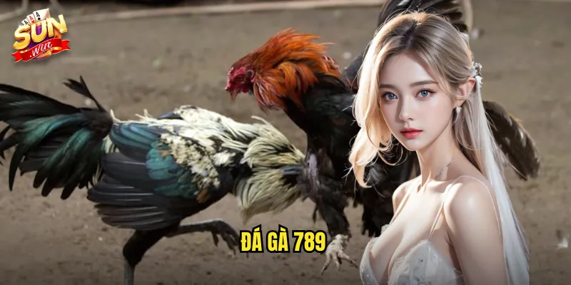 Đá Gà 789 Sunwin SH - Sảnh Cược Đá Gà Uy Tín Với Tỷ Lệ Hấp Dẫn 1 đá gà 789