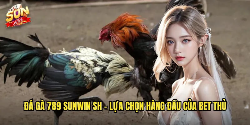 Đá Gà 789 Sunwin SH - Sảnh Cược Đá Gà Uy Tín Với Tỷ Lệ Hấp Dẫn 2 Đá gà 789 sunwin sh - Lựa chọn hàng đầu của bet thủ