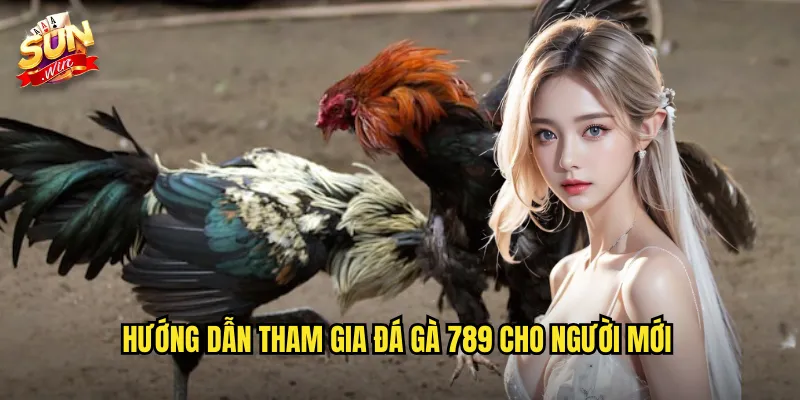 Đá Gà 789 Sunwin SH - Sảnh Cược Đá Gà Uy Tín Với Tỷ Lệ Hấp Dẫn 3 Hướng dẫn tham gia đá gà 789 cho người mới