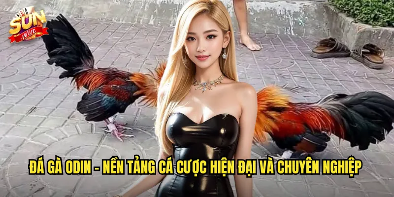 Đá Gà Odin Sunwin SH - Thần Thoại Bắc Âu Trong Thế Giới Đá Gà Trực Tuyến 2 Đá gà Odin - Nền tảng cá cược hiện đại và chuyên nghiệp