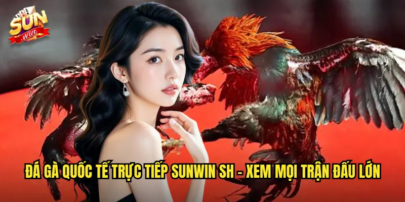 Đá Gà Quốc Tế Trực Tiếp Sunwin SH - Kết Nối Với Trường Gà Toàn Cầu 2 Đá gà quốc tế trực tiếp sunwin sh - Xem mọi trận đấu lớn