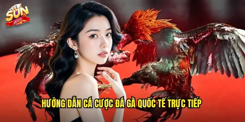 Đá Gà Quốc Tế Trực Tiếp Sunwin SH - Kết Nối Với Trường Gà Toàn Cầu 3 Hướng dẫn cá cược đá gà quốc tế trực tiếp