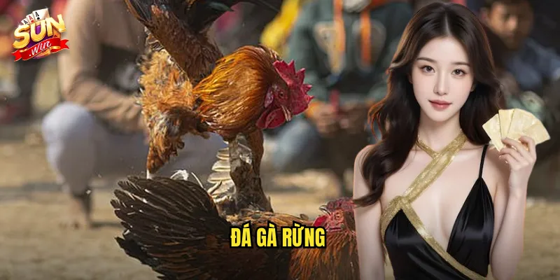 đá gà rừng
