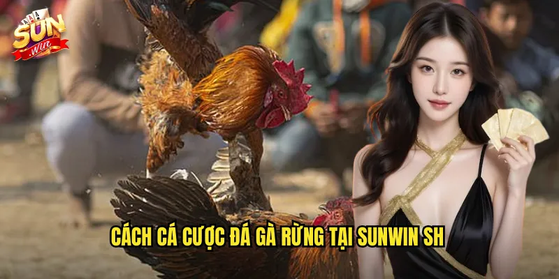 Đá Gà Rừng Sunwin SH - Trải Nghiệm Gà Dã Chiến Với Bản Lĩnh Vượt Trội 3 Cách cá cược đá gà rừng tại sunwin sh