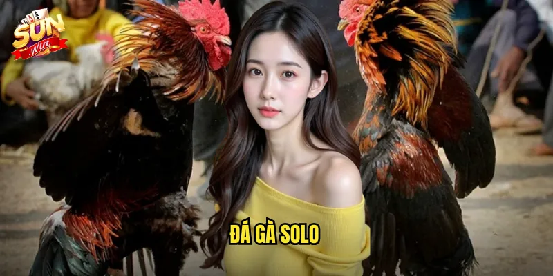 đá gà solo