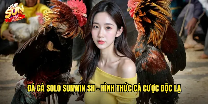 Đá gà solo sunwin sh - Hình thức cá cược độc lạ