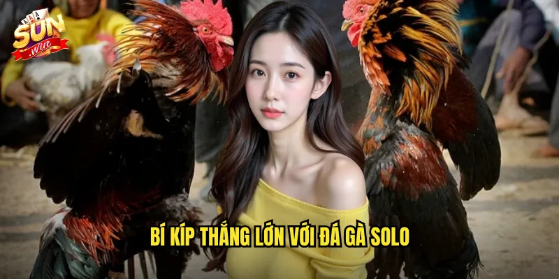 Bí kíp thắng lớn với đá gà solo