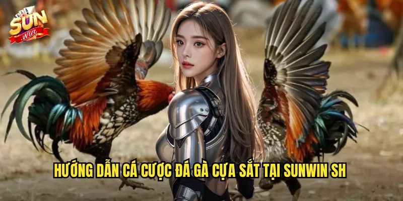Đá Gà Cựa Sắt Sunwin SH - Trận Đấu Kịch Tính Với Tỷ Lệ Cược Hấp Dẫn 3 Hướng dẫn cá cược đá gà cựa sắt tại sunwin sh